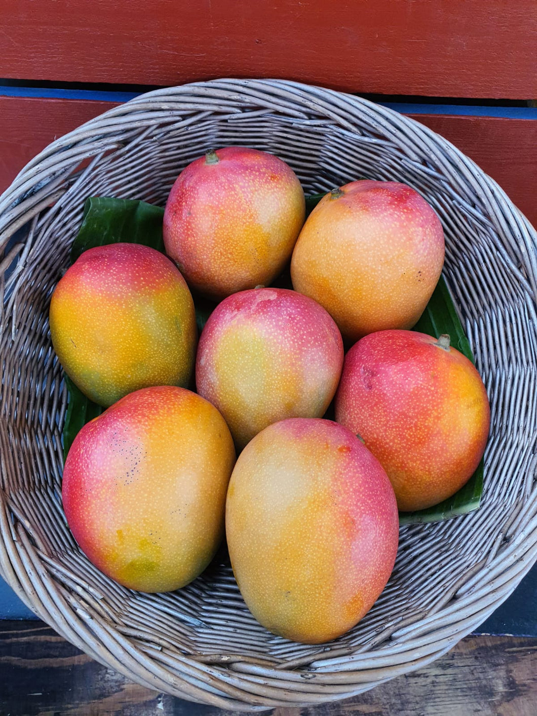 Premium Mango