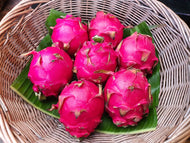 Red Dragon Fruit