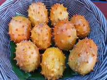 Load image into Gallery viewer, Kiwano

