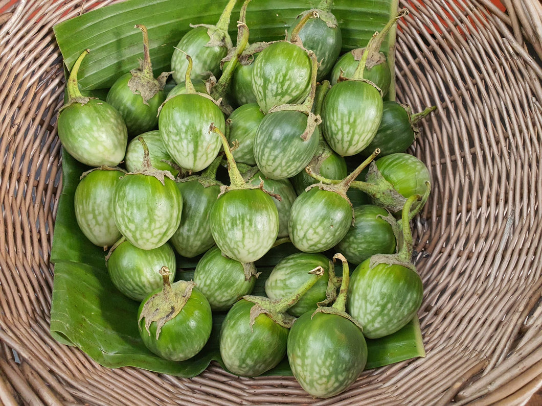 Thai Green Round Aubergine