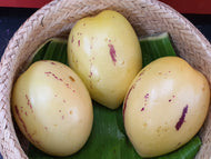 Pepino melon