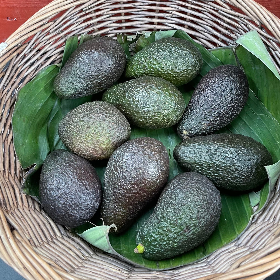Organic Avocado