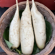 Organic Daikon Mooli