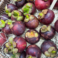 Mangosteen Loose