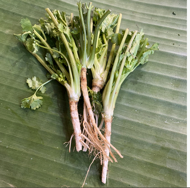Coriander Roots 100G
