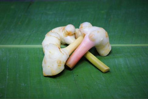 Galangal 100g