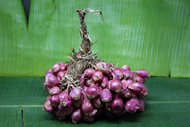 Small Shallots 100g