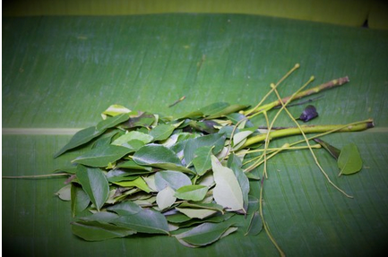 Curry Leaves